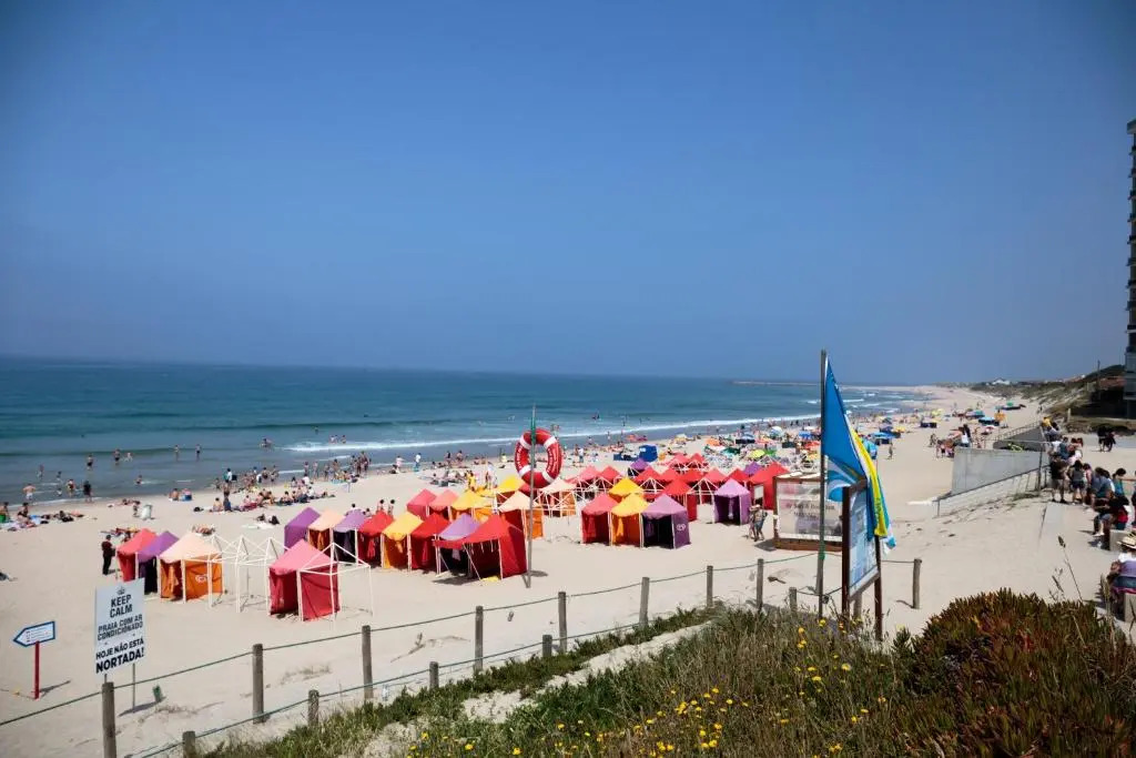 The Spot Ofir