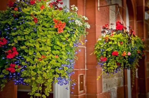 Golf View B&B