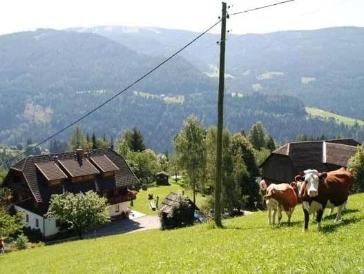 Ferienwohnung Lahnerhof
