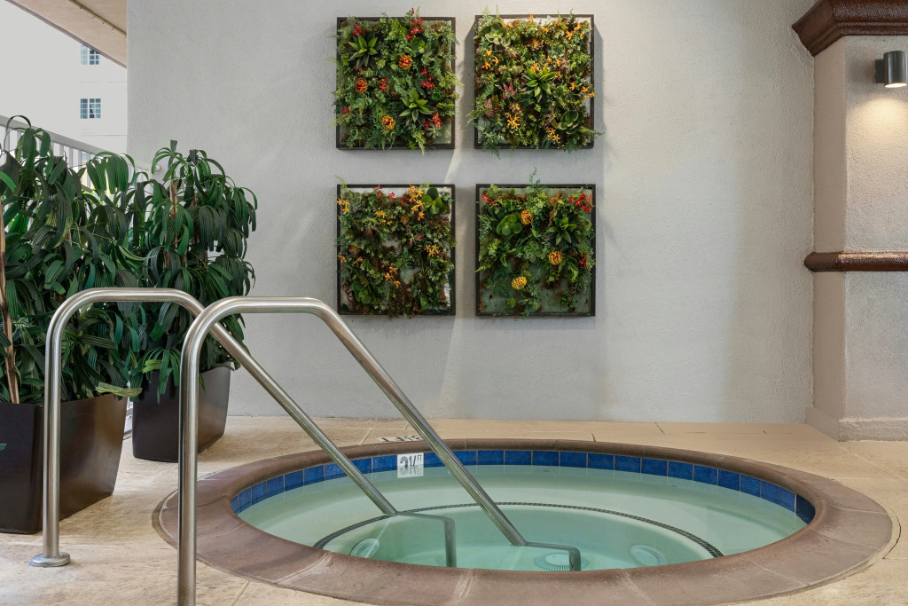 Peacock Suites