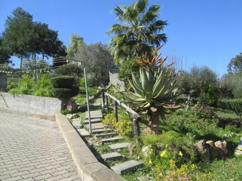 My Country House