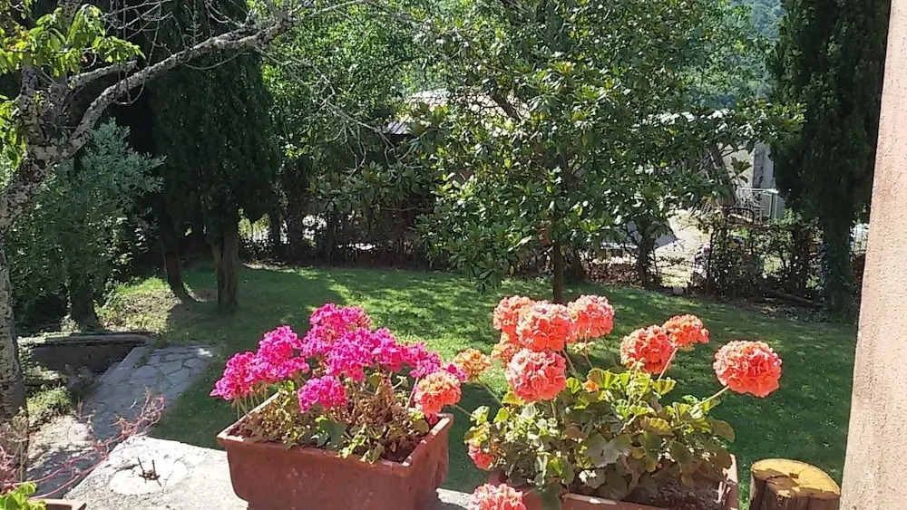 B&B Salino