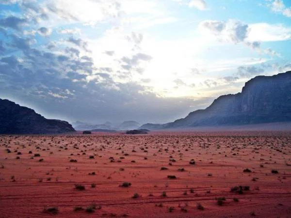Real Bedouin Camp