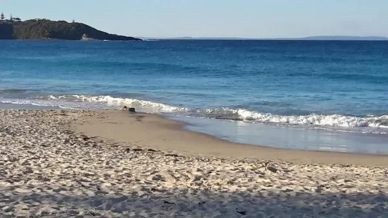 Allure On Ocean Motel - Mollymook Beach