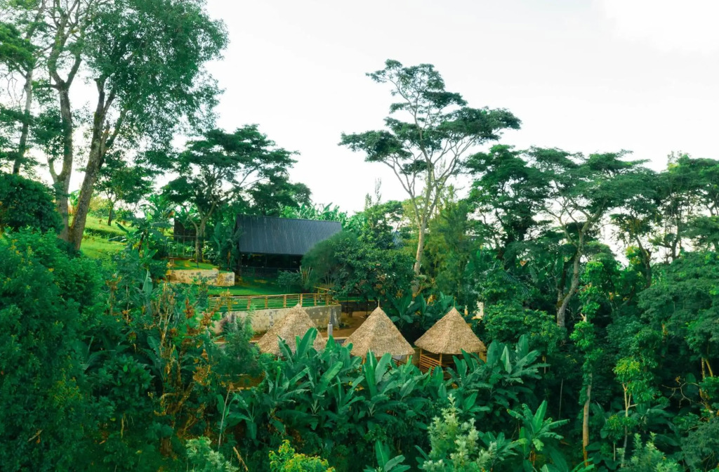 Materuni Homes