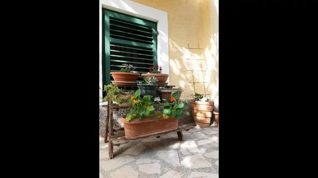Charming 1-bedroom Apartment Sonia, Sleeps 4