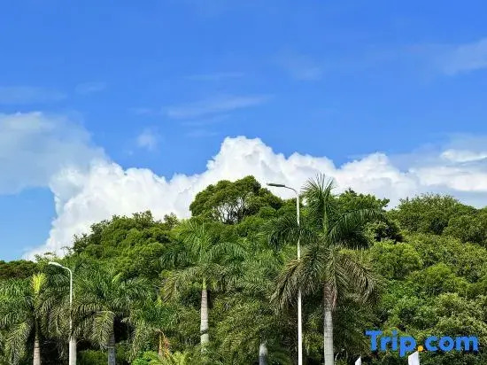 haijiaoyihao Homestay (Xiamen Huangcuo Beach)