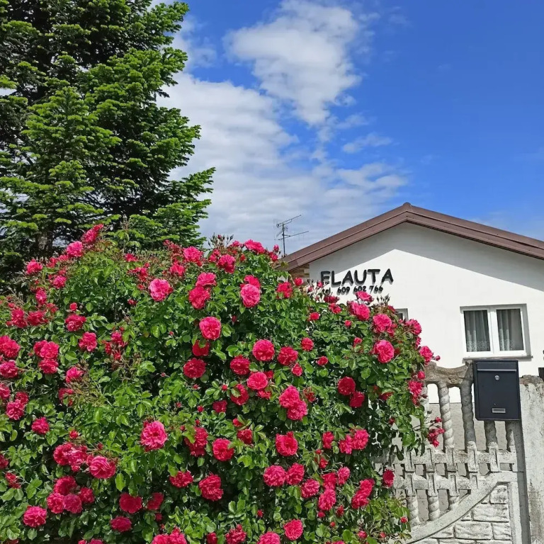 Flauta Apartamenty Rodzinne