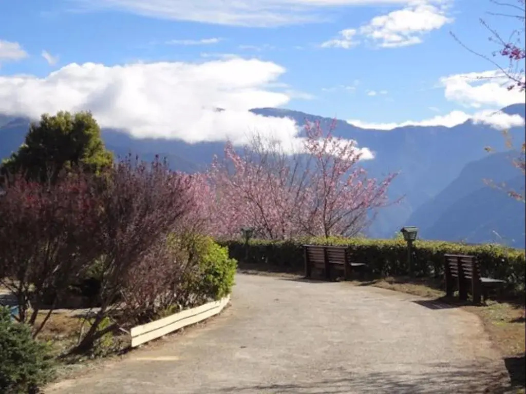 Yosemite Park B&B