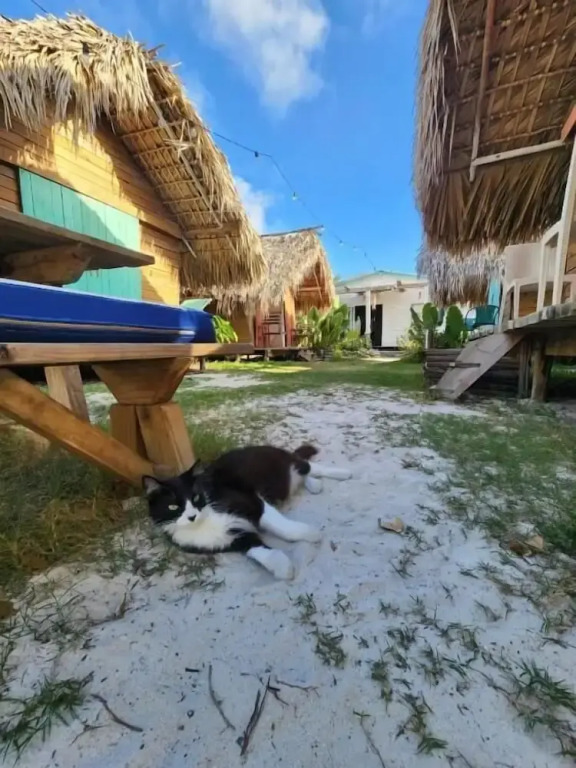 Saona lodge
