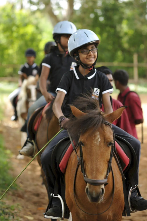 Olive Farm @ Embassy International Riding School