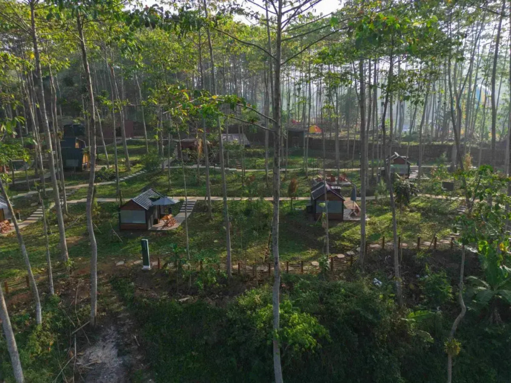 Bobocabin The Tavia, Puncak