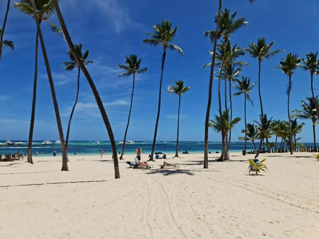 Amazing Beachfront Condo Oceanview Puntacana 2br