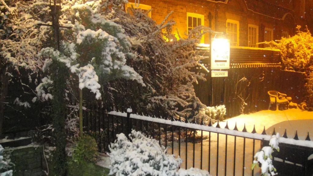 The Sycamore Guest House
