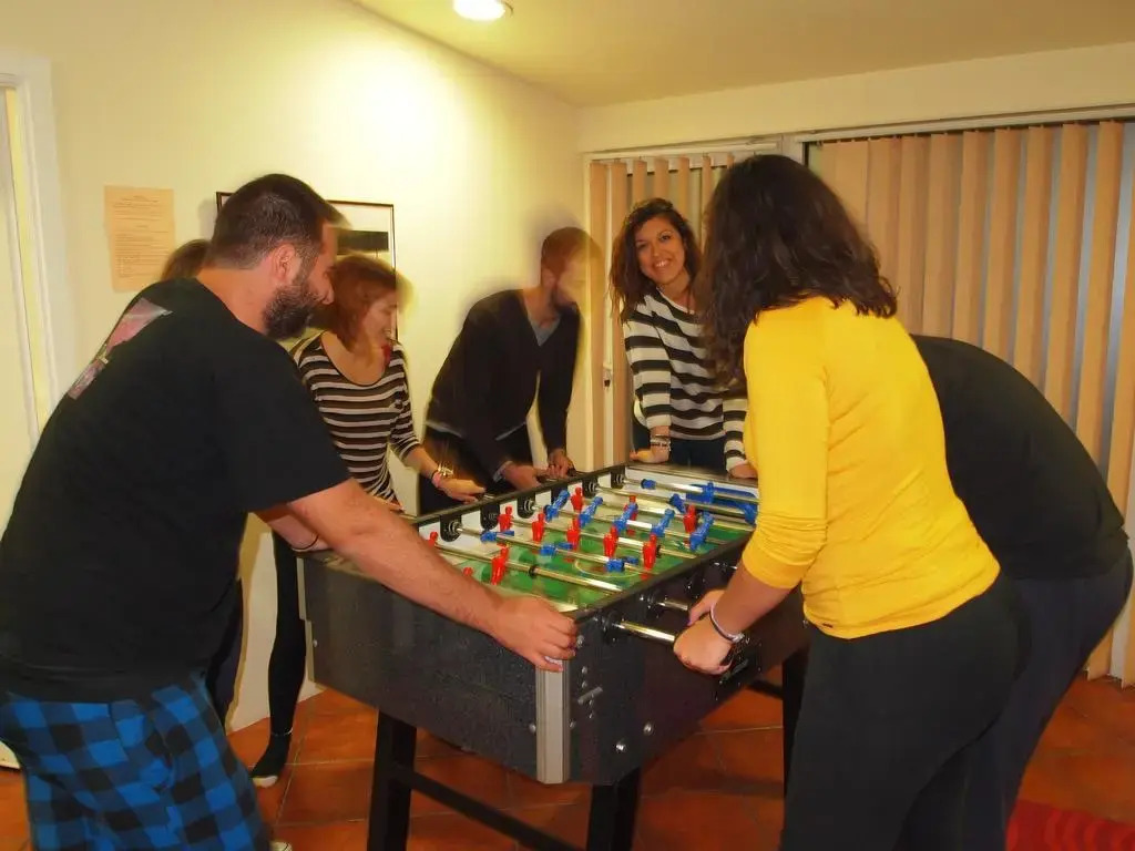 Hedonist Lounge Hostel