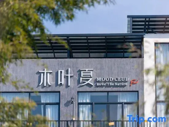 Mood Club Theme Holiday Hostel