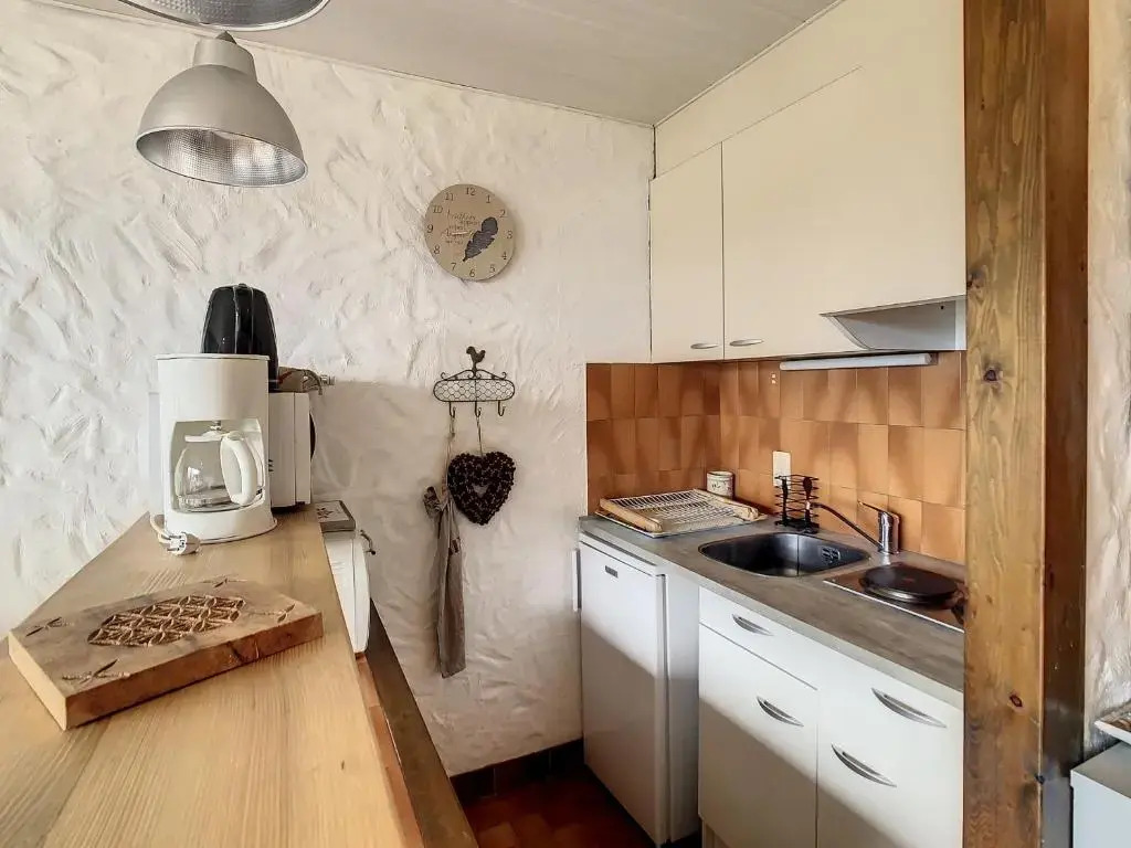 Appartement Combloux, 1 pièce, 4 personnes - FR-1-560-54