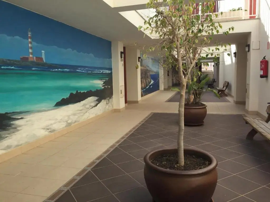 Oliastur Cotillo Apartament