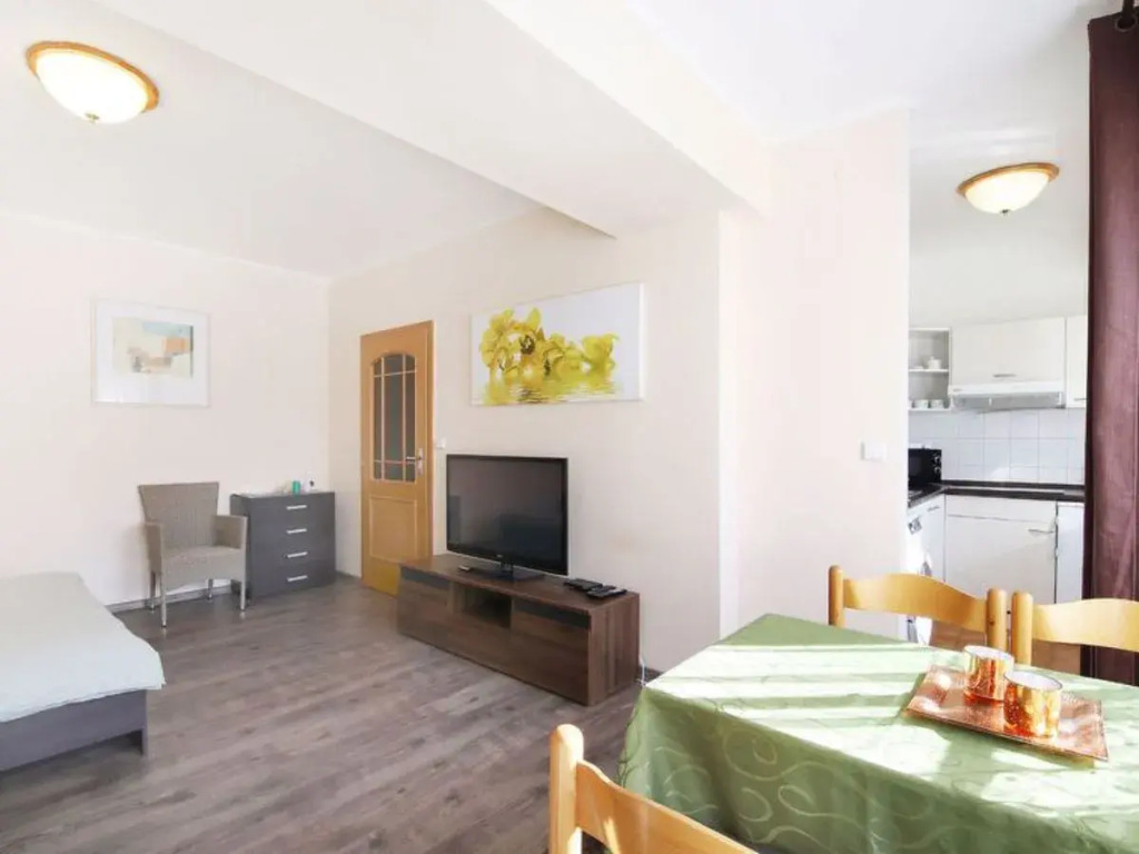 Apartment Lanovka Jachymov 19758