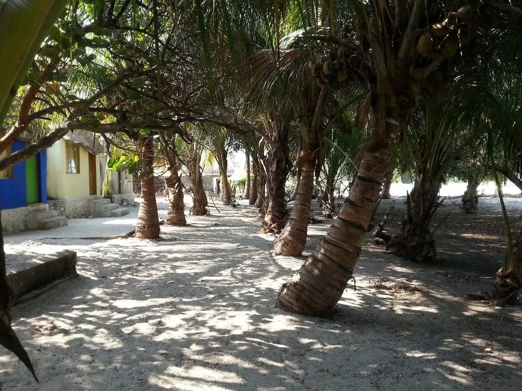 Cabañas Camping Ria Celestun