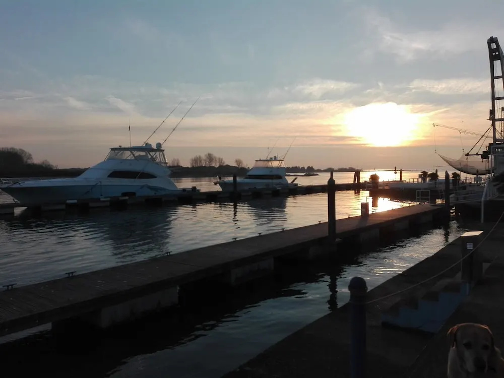 Stay Michelangelo Jesolo Only Adults