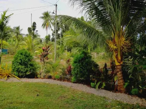Momovillage