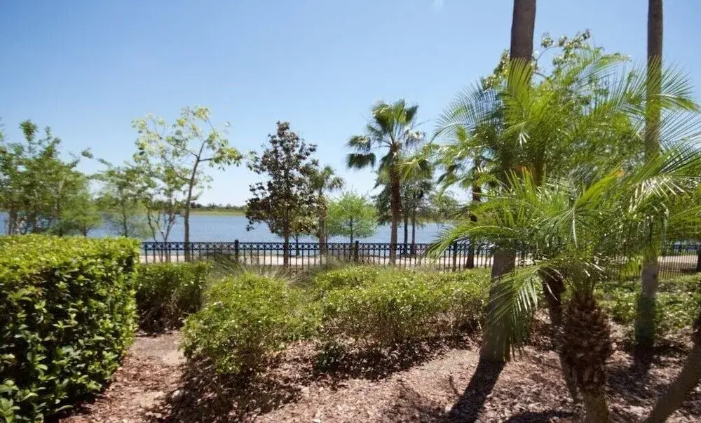 Lake View Joy