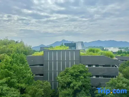International Exchange Center