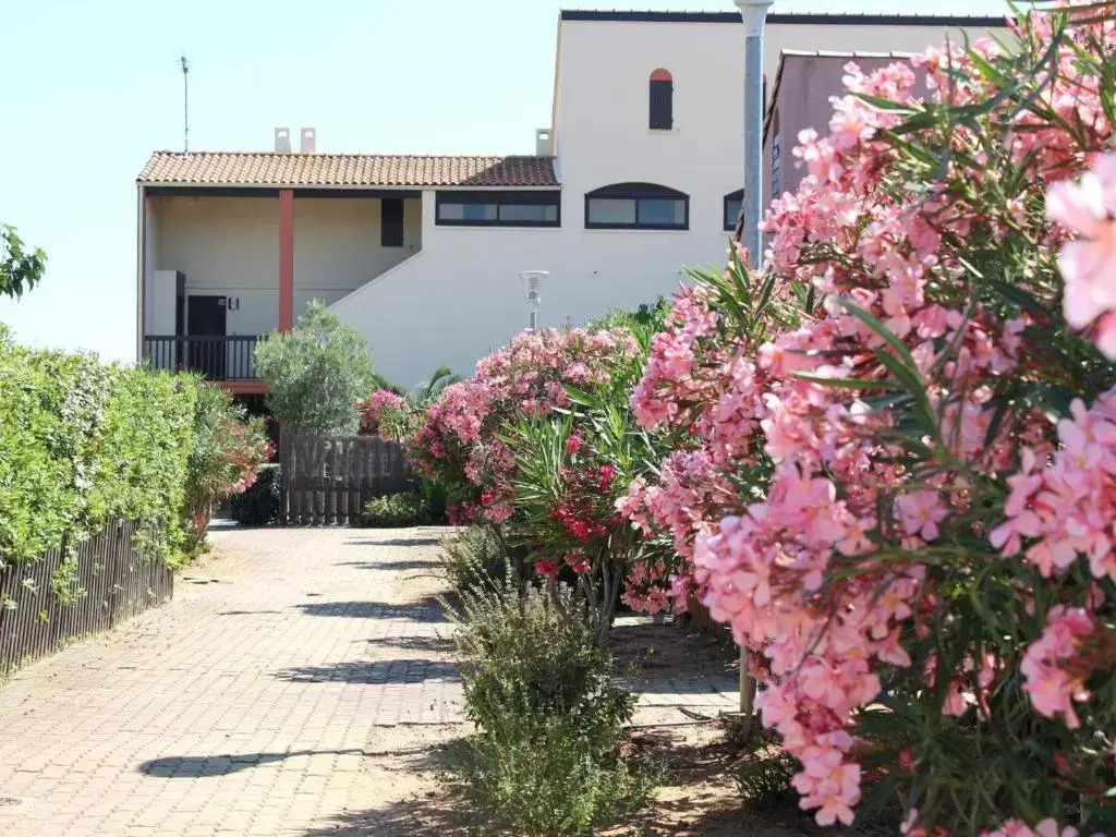 Appartement Gruissan, 1 pièce, 4 personnes - FR-1-229-778