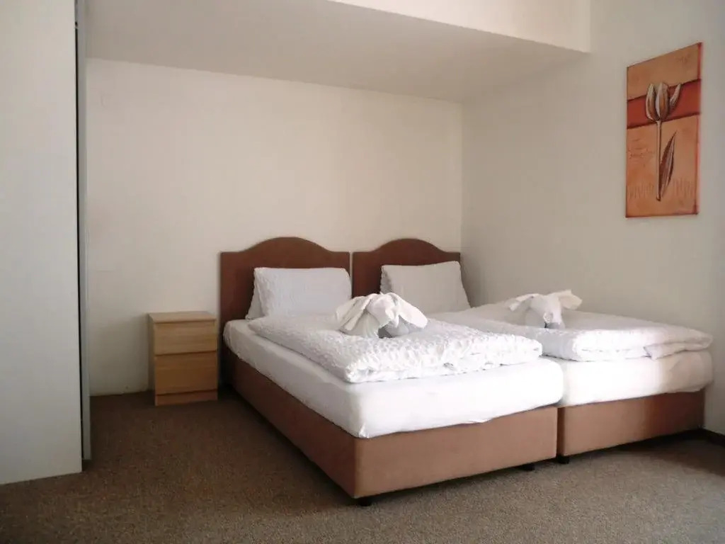 Alpina Apartments - Zell am See - Air Condition