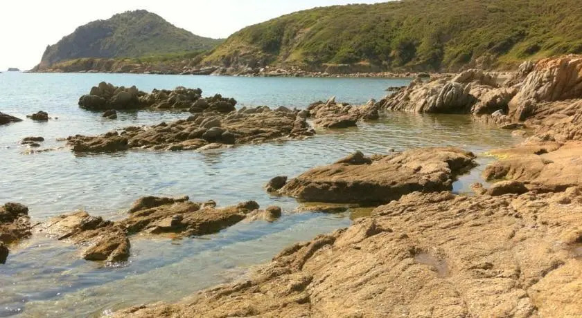 Feraxi Letizia