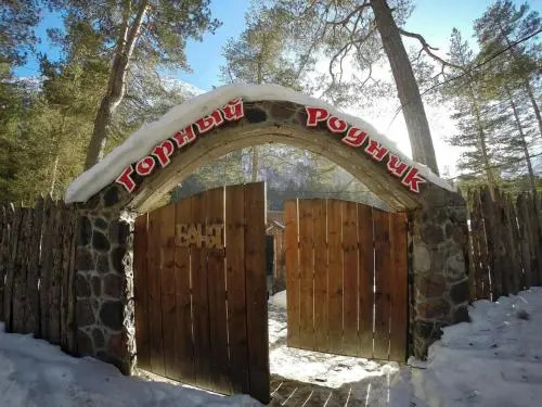 Hotel Gorny Rodnik