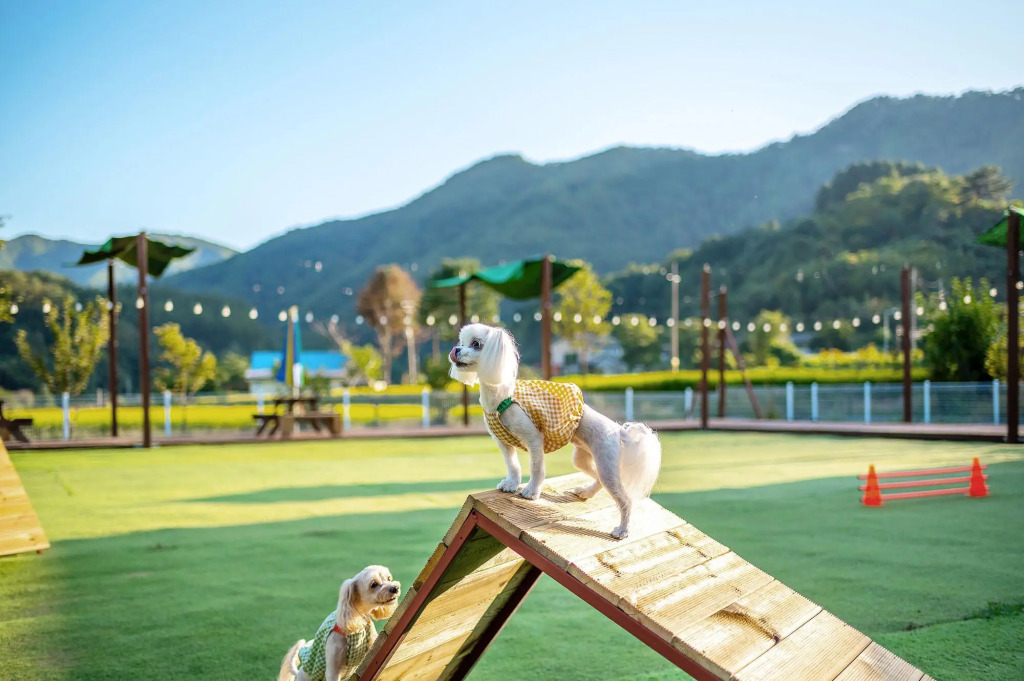Galaxy House