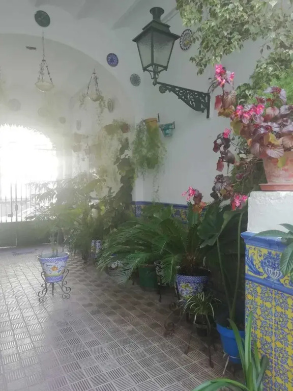 Wish Suite Patio de la Flores