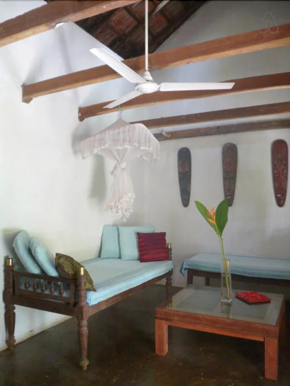 The Jungle House