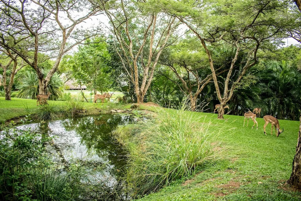 INYAMATANE LUXURY LODGES at Kruger Park Lodge