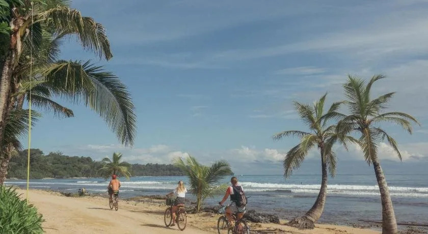 Stay Bocas