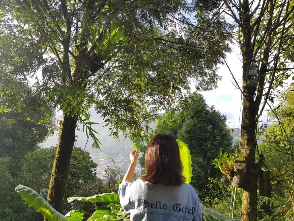 Sapa Jungle Homestay