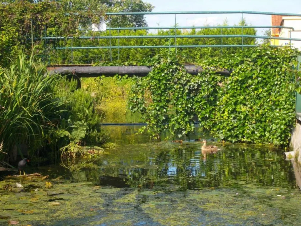 Gîte spacieux avec jardin, barque, et label tourisme handicap - Marais Audomarois - FR-1-376-72