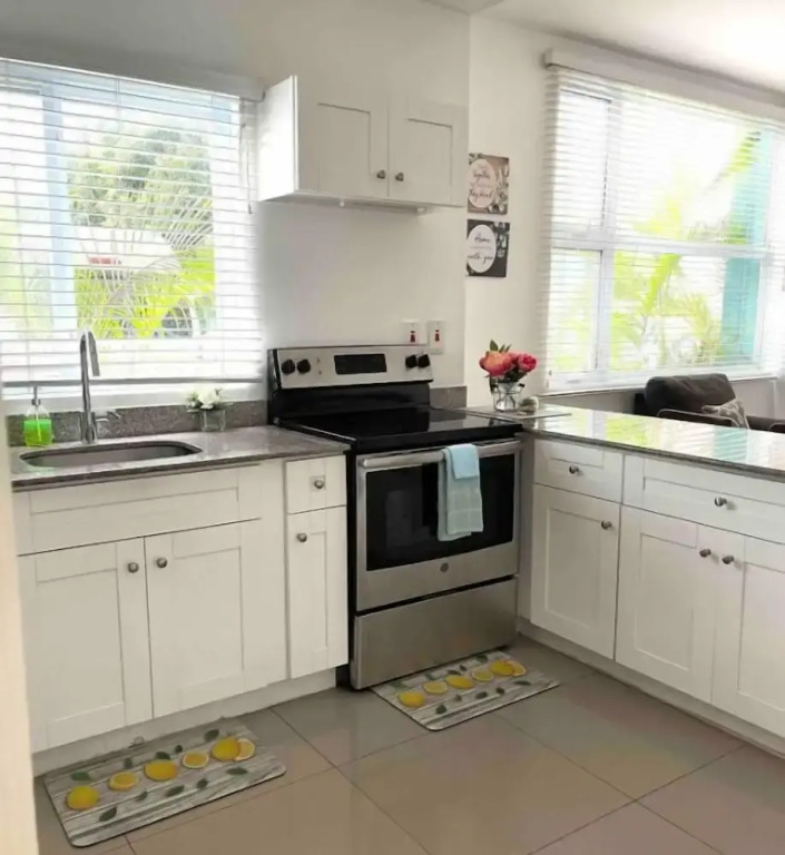 Modern 1BR Condo in Kingston