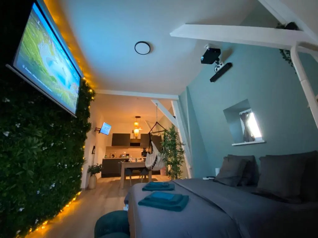 Zen - Roubaix-Lille - Balneo - Home Cinema - Billard