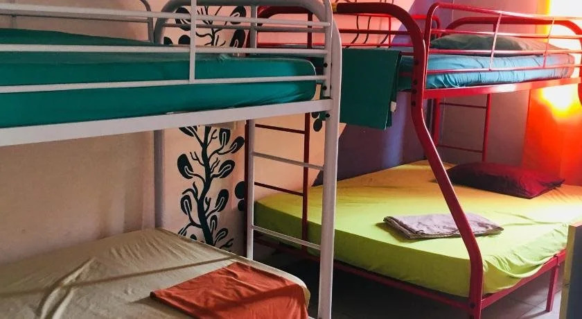 Taca Tucan Hostel