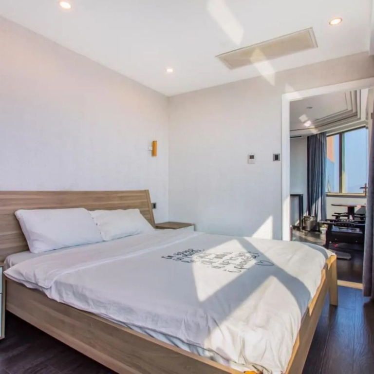 Big Hero Apartment Hotel (Shenzhen Futian Port)