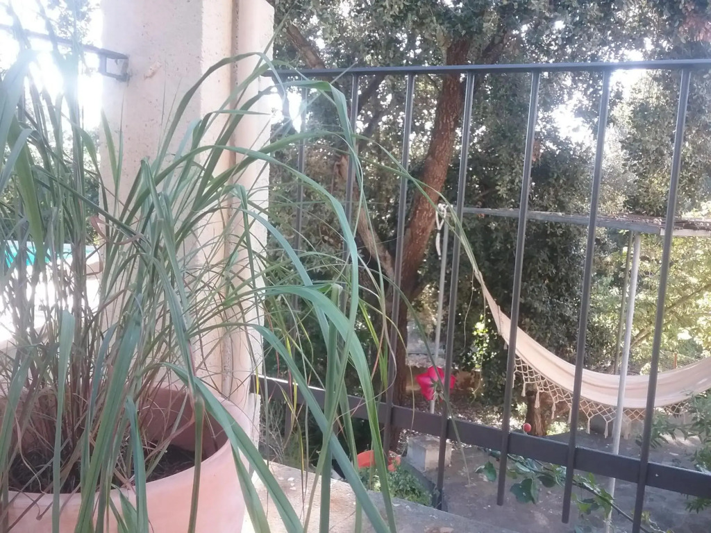 Ses Alzines Apartamento integrado en Casa Rural Habitada