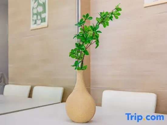 Shiyi Apartment