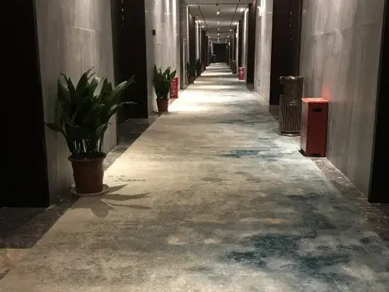 Pingxiang Dream Boutique Hotel (High-speed Railway Station)
