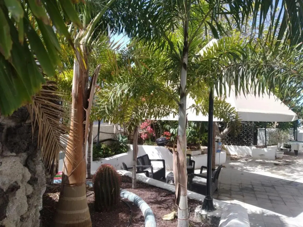 Hotel Ponderosa