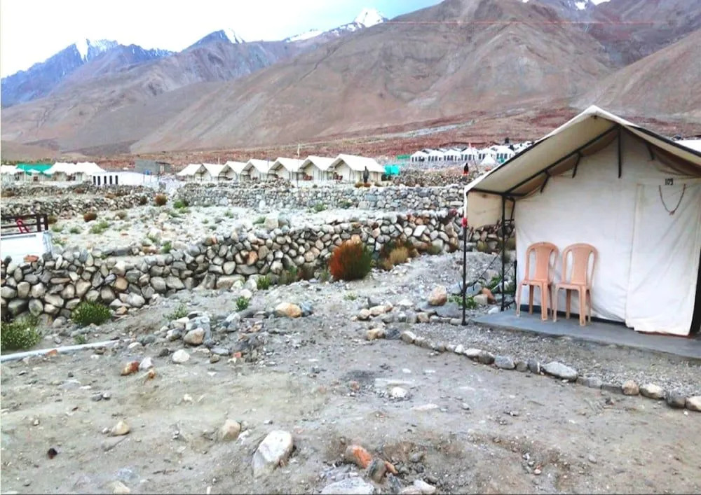 Royal Camp - Pangong