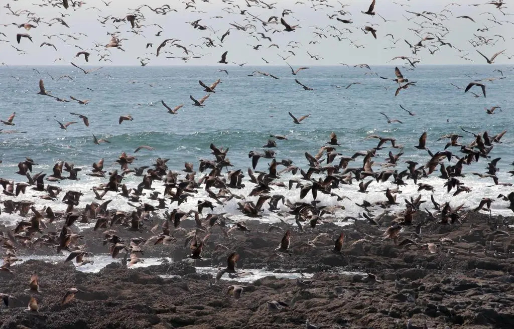 Hotel Apacheta
