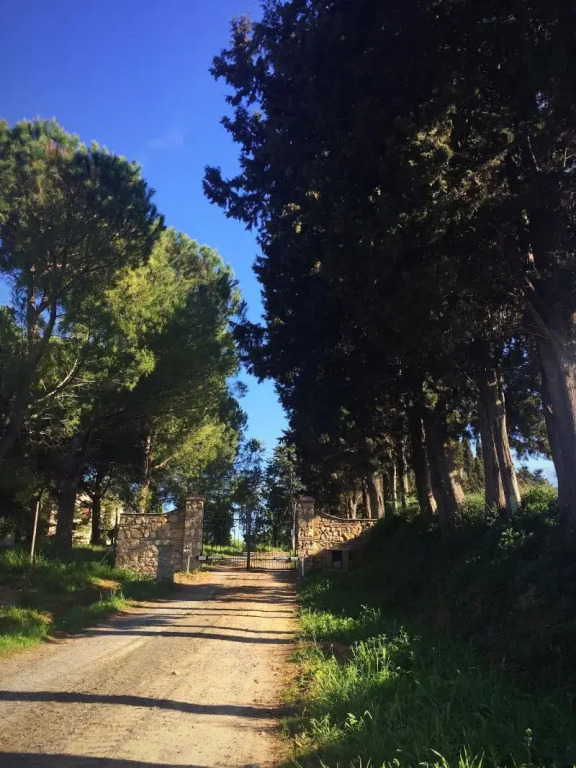 Podere La Pace